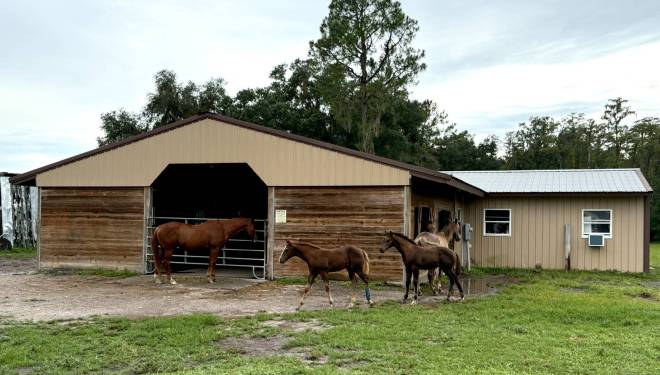 14875 CR 751, Webster, FL 33597