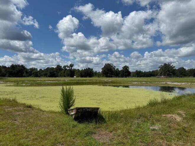 14875 CR 751, Webster, FL 33597