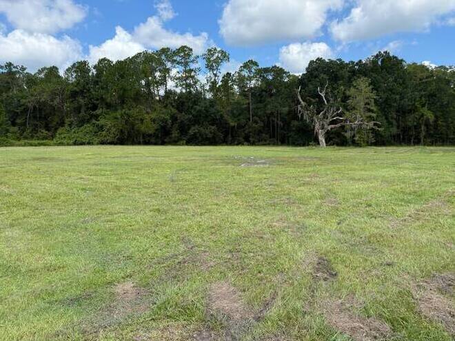 14875 CR 751, Webster, FL 33597