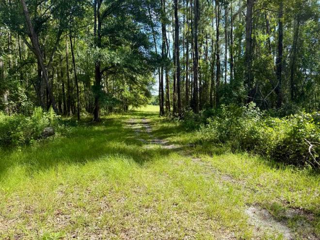 14875 CR 751, Webster, FL 33597