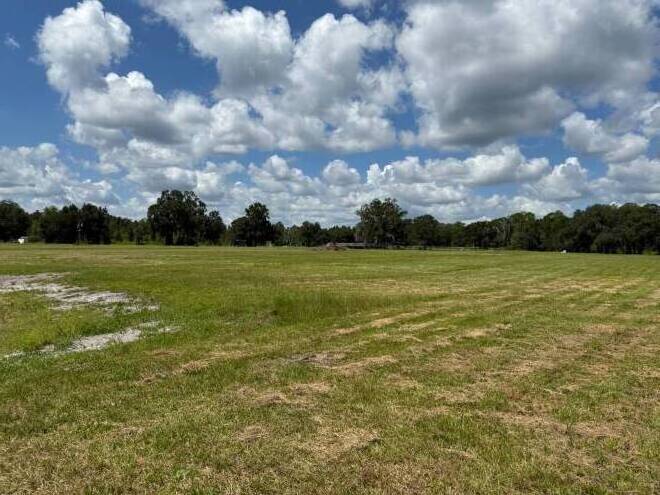 14875 CR 751, Webster, FL 33597