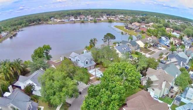 11838 Branch Mooring Dr, Tampa, FL 33635