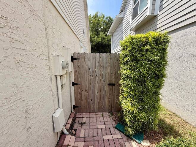 11838 Branch Mooring Dr, Tampa, FL 33635