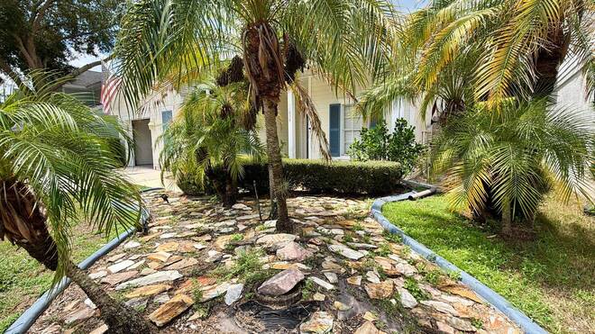 11838 Branch Mooring Dr, Tampa, FL 33635