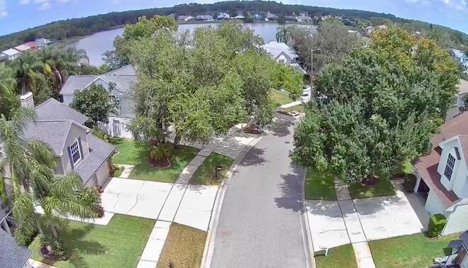 11838 Branch Mooring Dr, Tampa, FL 33635