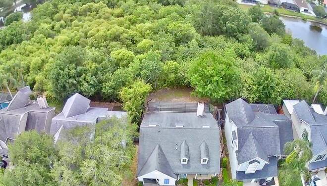 11838 Branch Mooring Dr, Tampa, FL 33635