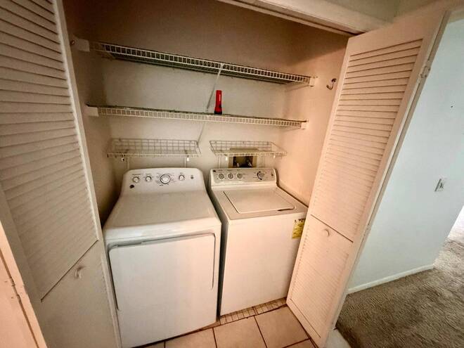 11838 Branch Mooring Dr, Tampa, FL 33635