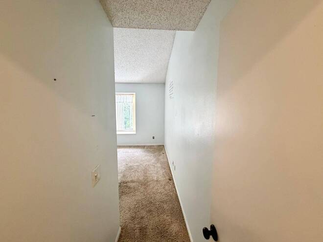 11838 Branch Mooring Dr, Tampa, FL 33635