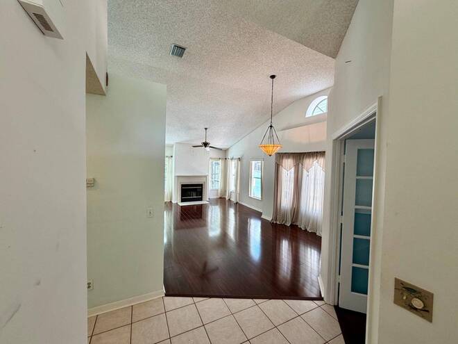 11838 Branch Mooring Dr, Tampa, FL 33635
