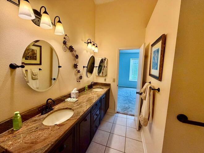 11838 Branch Mooring Dr, Tampa, FL 33635