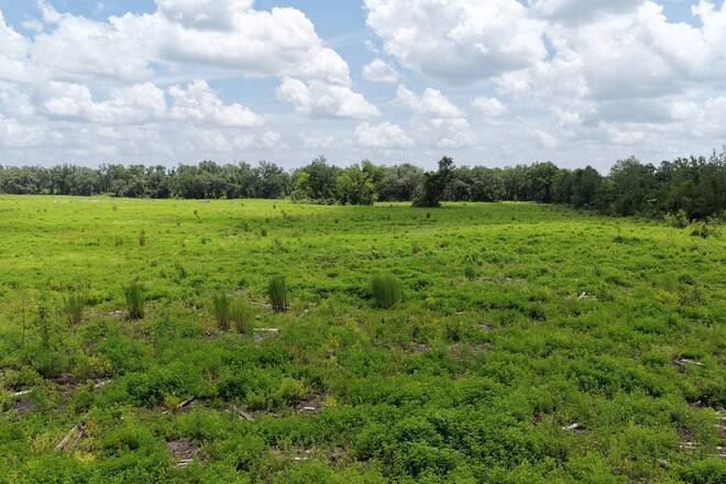 Vacant 161st Road, Live Oak, FL 32060