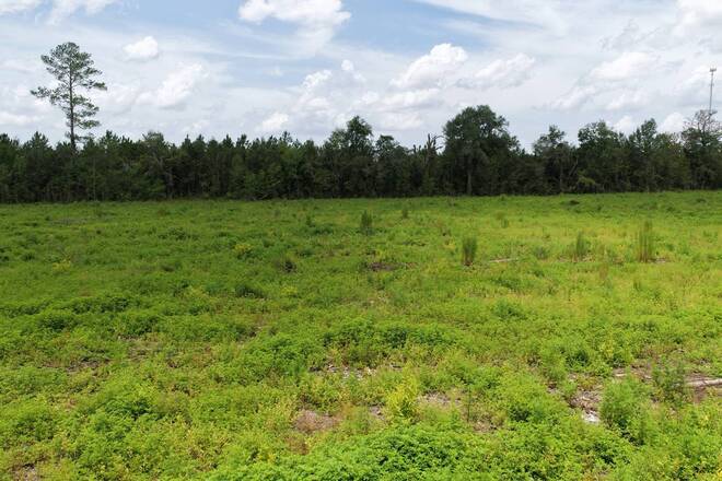 Vacant 161st Road, Live Oak, FL 32060
