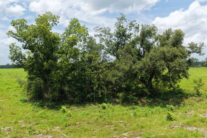 Vacant 161st Road, Live Oak, FL 32060