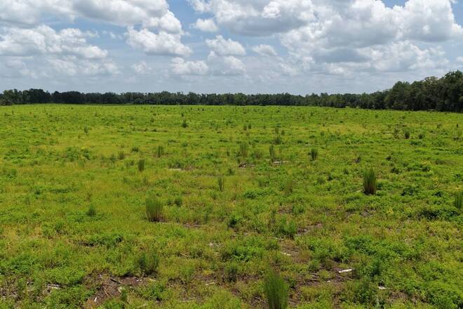 Vacant 161st Road, Live Oak, FL 32060