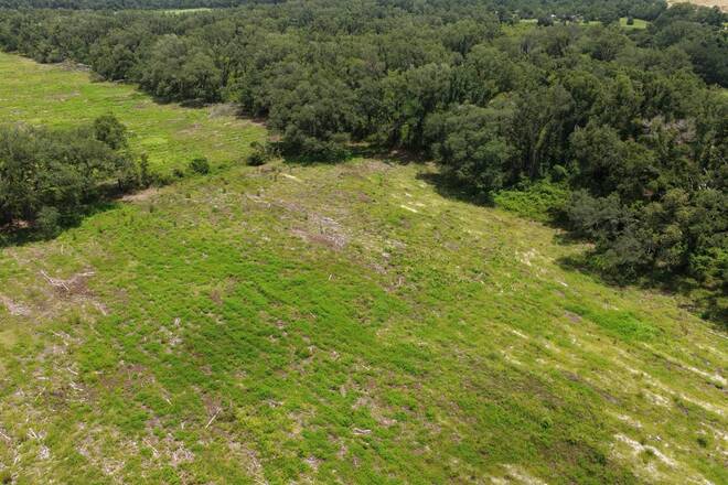 Vacant 161st Road, Live Oak, FL 32060