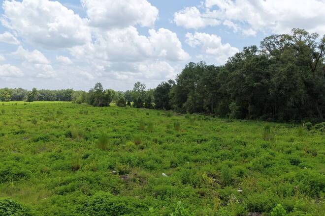 Vacant 161st Road, Live Oak, FL 32060