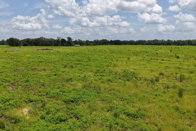 Vacant 161st Road, Live Oak, FL 32060