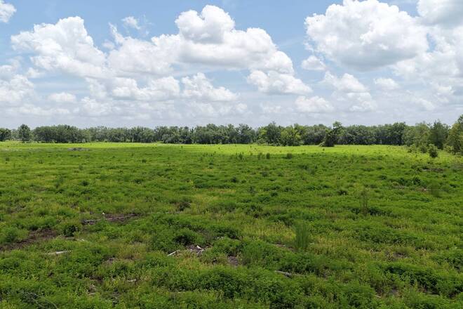 Vacant 161st Road, Live Oak, FL 32060