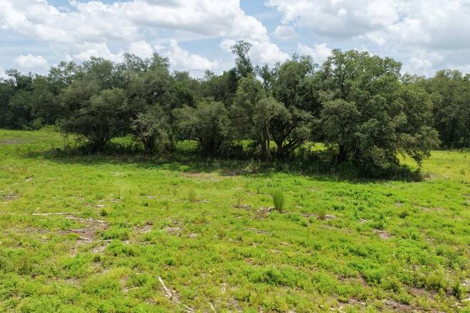 Vacant 161st Road, Live Oak, FL 32060
