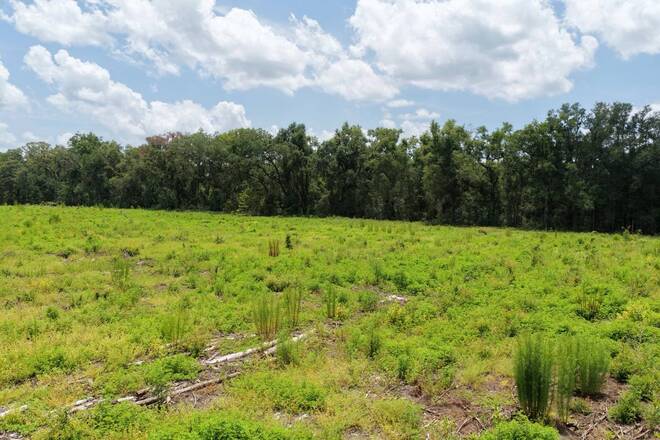 Vacant 161st Road, Live Oak, FL 32060