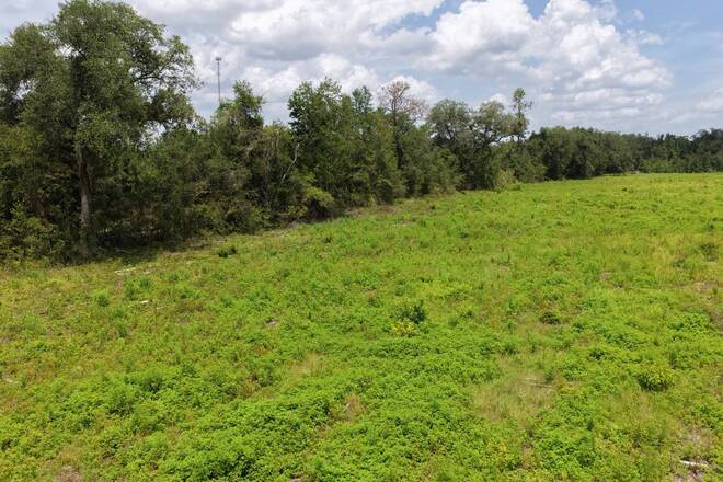 Vacant 161st Road, Live Oak, FL 32060
