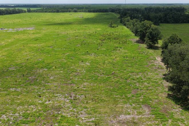 Vacant 161st Road, Live Oak, FL 32060