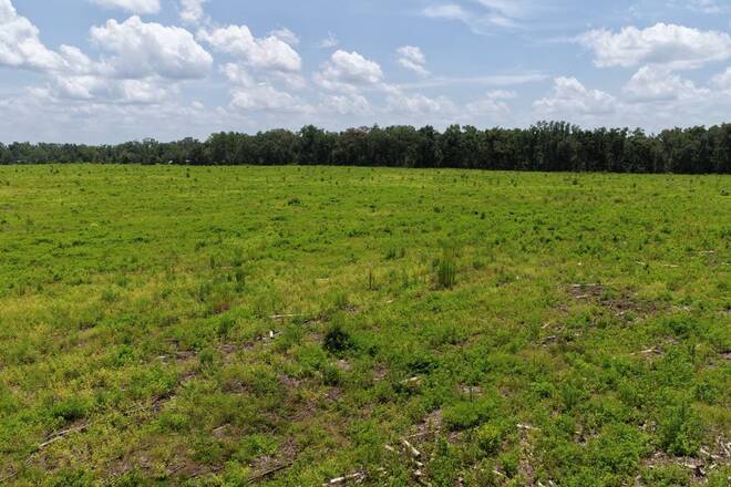 Vacant 161st Road, Live Oak, FL 32060