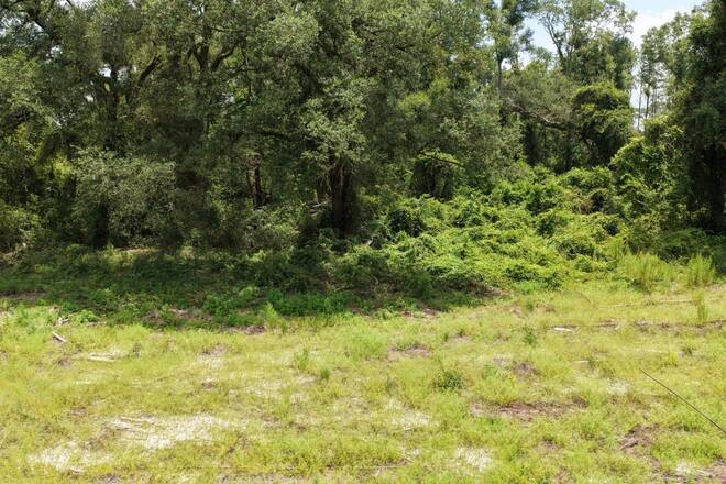 Vacant 161st Road, Live Oak, FL 32060