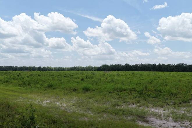 Vacant 161st Road, Live Oak, FL 32060