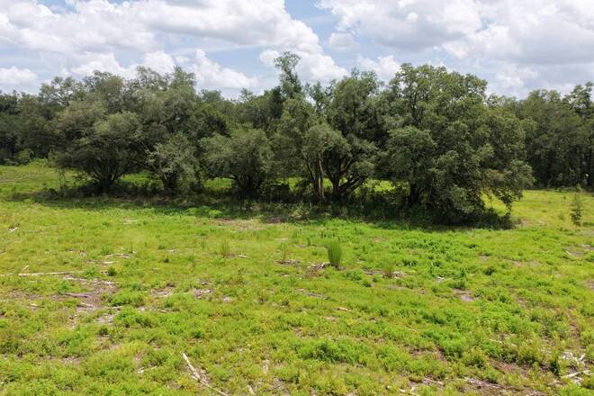 Vacant 161st Road, Live Oak, FL 32060