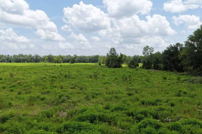 Vacant 161st Road, Live Oak, FL 32060