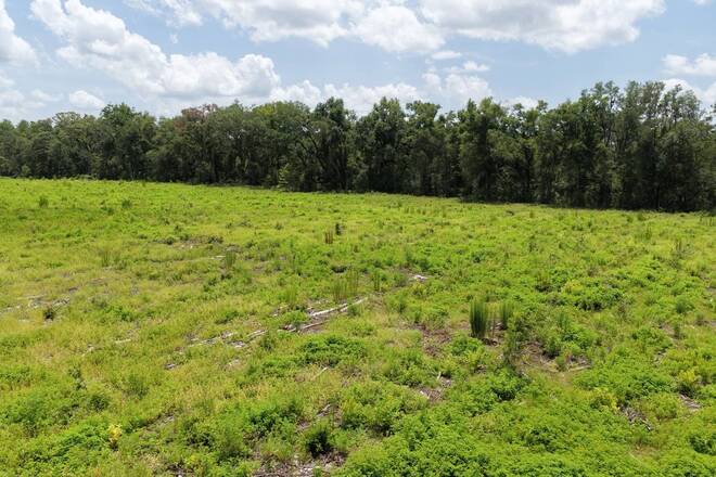 Vacant 161st Road, Live Oak, FL 32060
