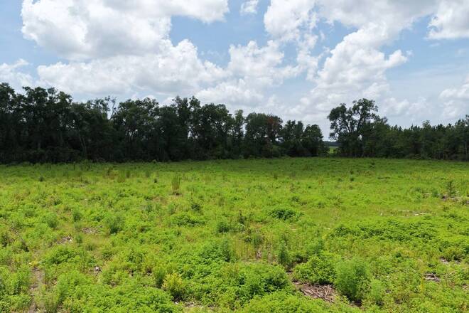 Vacant 161st Road, Live Oak, FL 32060