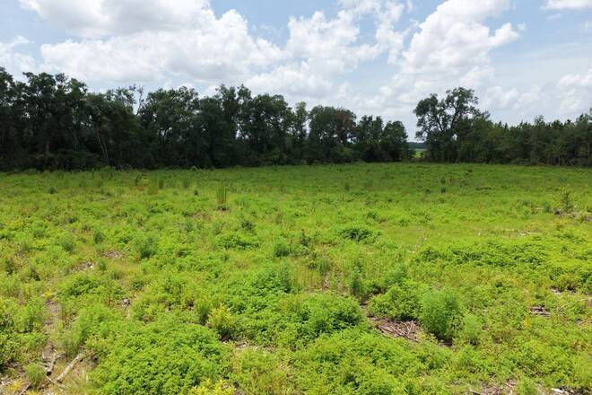 Vacant 161st Road, Live Oak, FL 32060