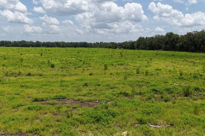 Vacant 161st Road, Live Oak, FL 32060