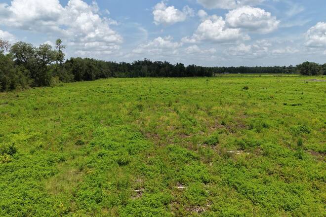 Vacant 161st Road, Live Oak, FL 32060