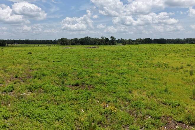 Vacant 161st Road, Live Oak, FL 32060