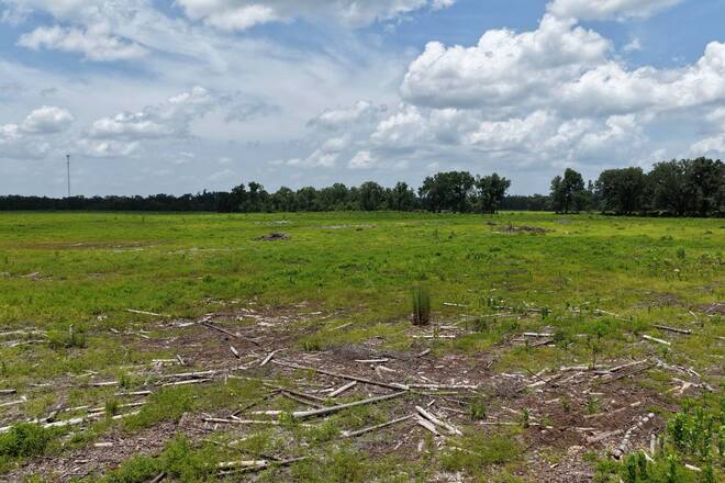 Vacant 161st Road, Live Oak, FL 32060
