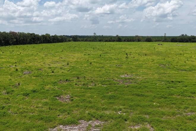 Vacant 161st Road, Live Oak, FL 32060