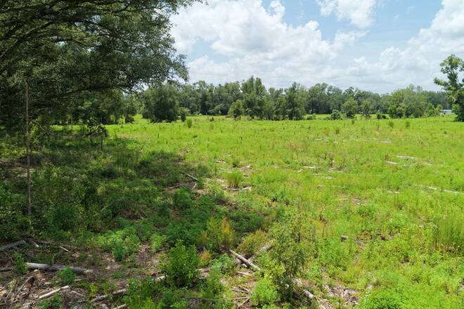 Vacant 161st Road, Live Oak, FL 32060