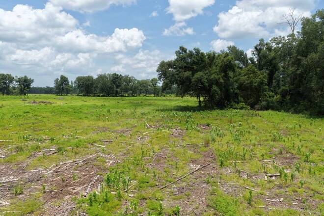 Vacant 161st Road, Live Oak, FL 32060