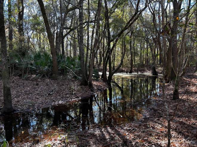 0 Fairbanks Ferry Road, Tallahassee, FL 32312