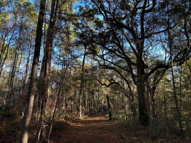 0 Fairbanks Ferry Road, Tallahassee, FL 32312