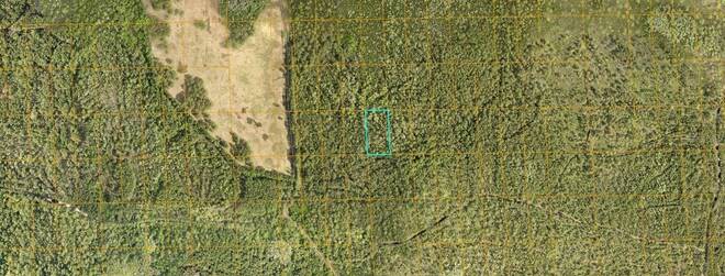 0 No Street, DELAND, FL 32724