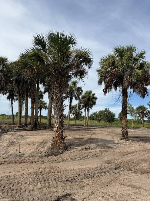 18872 NW 256th St, Okeechobee, FL 34972